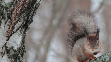 Фото Тania Мalrechauffe для unsplash.com