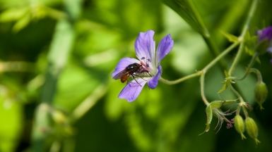 Фото: akk_rus on Visualhunt 