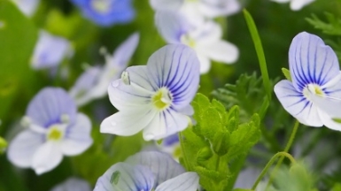 Фото Julia Gavrilenko, unsplash.com