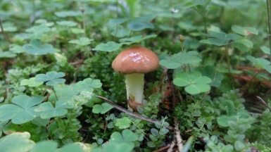 Фото наших Странников