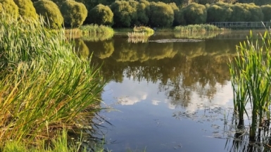 Фото: Nata Kay on Unsplash