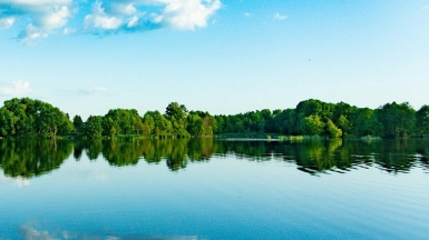 Фото: v-t on Unsplash