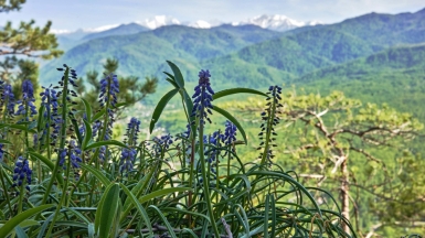 Фото наших Странников