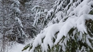 Фото Галины Чудновской