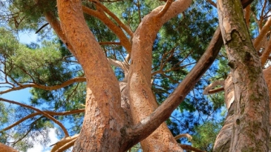 Фото гида Марии Новиковой