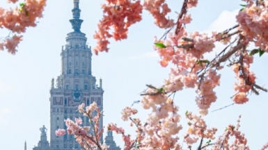 Фото: Nikita Nikitenko on Unsplash