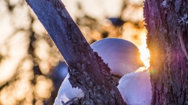 Juho Holmi, visualhunt