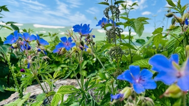 Фото наших Странников