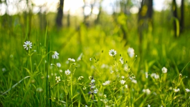 Фото: Tatiana Tochilova on unsplash