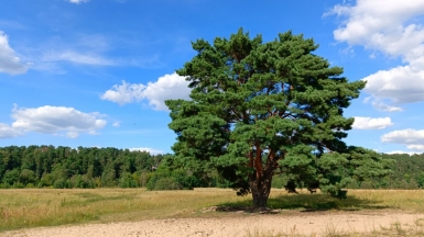 Фото гида Марии Новиковой