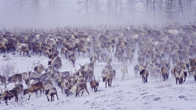 Фото из архива Клуба
