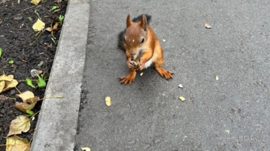 Фото нашей Странницы Ксении Амбаровой