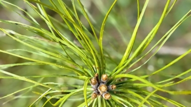 Фото наших Странников