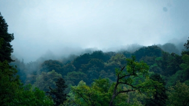 Фото наших Странников