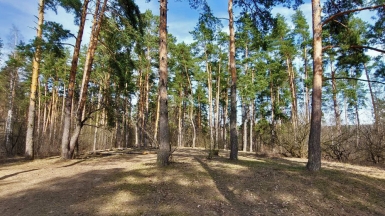 Фото нашего гида Александра Чудновского