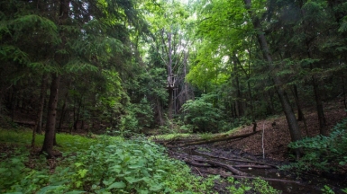 Фото гида Михаила Верёвченко