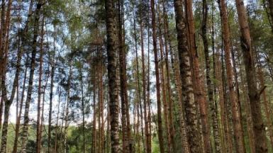 Фото гида Дианы Терещенковой