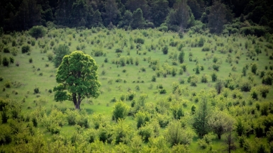 Фото гида Михаила Верёвченко