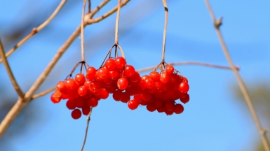 Фото: aleksandr gorlov on unsplash