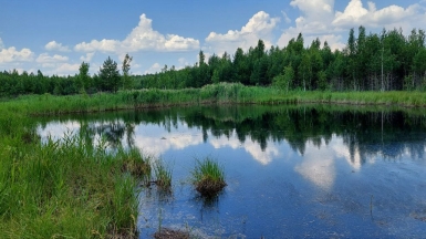 Фото нашего гида Александра Чудновского