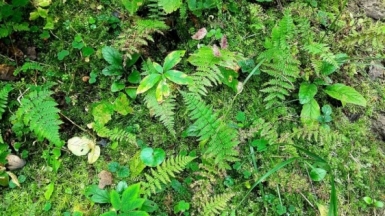 Фото наших Странников