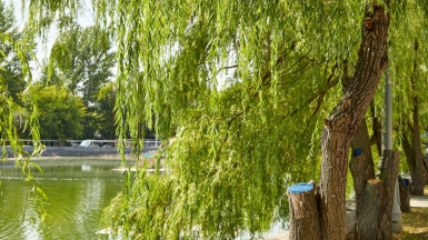 Workman Kapotnya on Unsplash