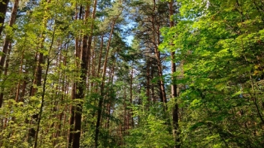 Фото гида Марии Новиковой