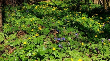 Фото нашего гида Галины Чудновской