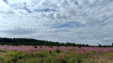 Фото наших Странников