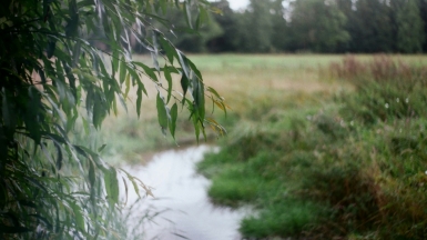 Фото: Simeon Duwel on unsplash