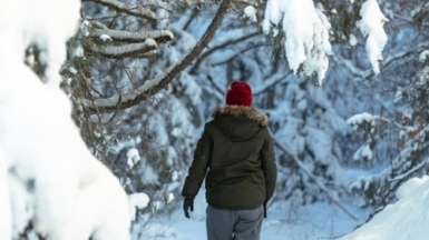 Фото: joshua hoehne on unsplash