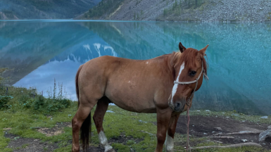 Конное сопровождение. Фото нашей Странницы Виты Гладких