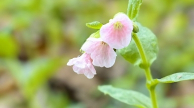 Фото наших Странников