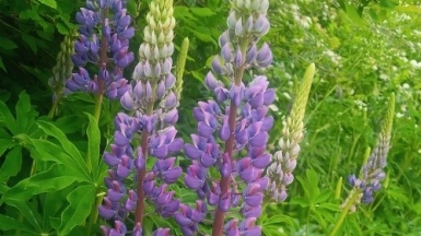 Фото наших Странников