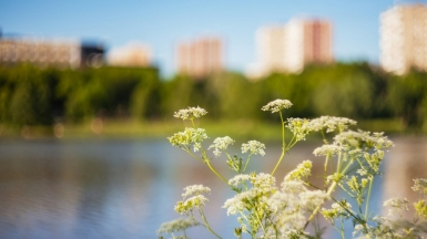 Фото: Oleg Podlesnykh on Unsplash