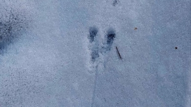 Фото Галины Чудновской