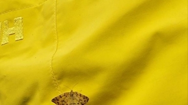 Фото наших Странников