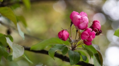 Фото: Tessa Terrus on Unsplash