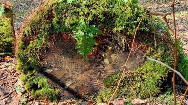 Фото нашего гида Александра Чудновского