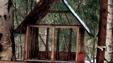 Фото Галины Чудновской