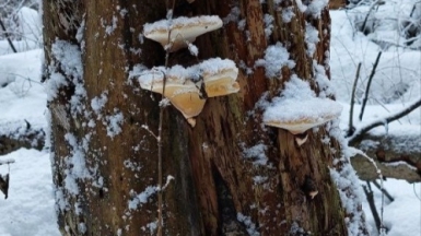 Фото Галины Чудновской