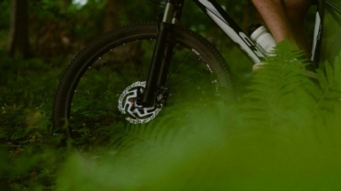 Фото: Marek Mucha on unsplash