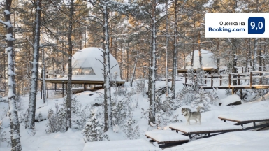 Территория глэмпинга