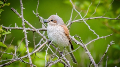 Фото гида Михаила Верёвченко