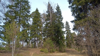 Фото наших Странников