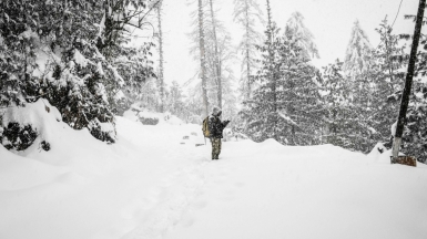 Фото: akhil verma on unsplash Фото: akhil verma on unsplash