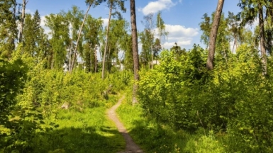 Фото: Oleg Podlesnykh on Unsplash