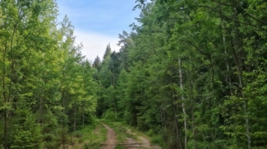 Фото наших Странников