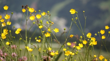 Фото: Wies Dool on unsplash