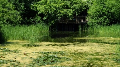 Фото: Оlga Кovalski on Unsplash